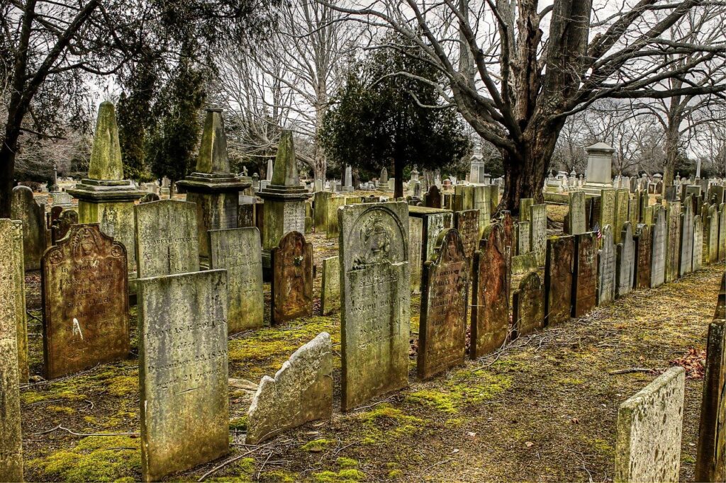 cemetery, tombstones, nature-2650712.jpg