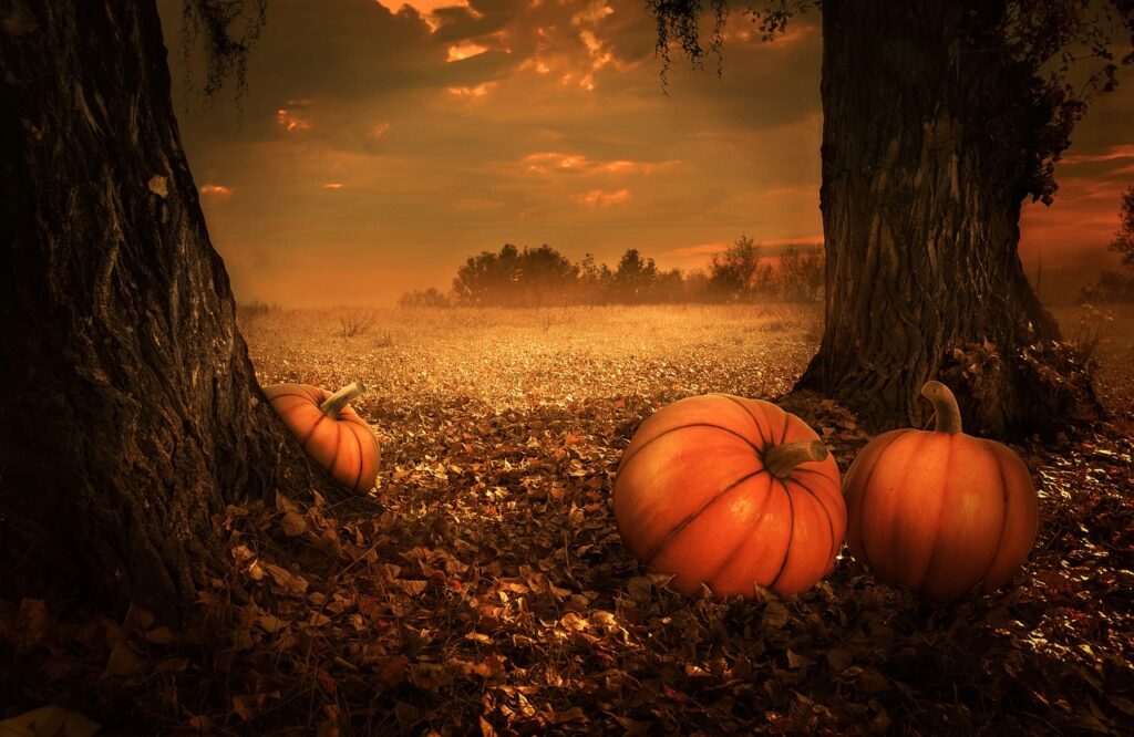 pumpkins, trees, meadow-5675502.jpg